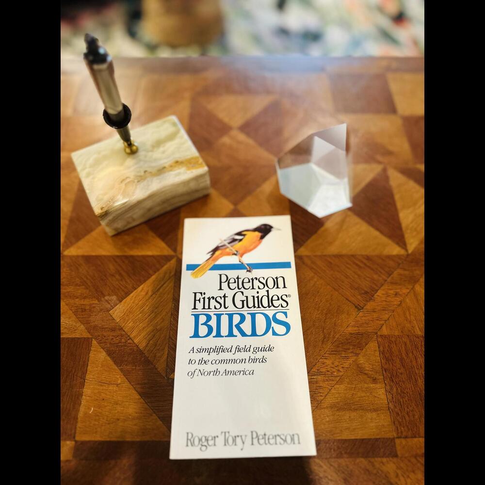 PETERSON First Guides Birds 1986